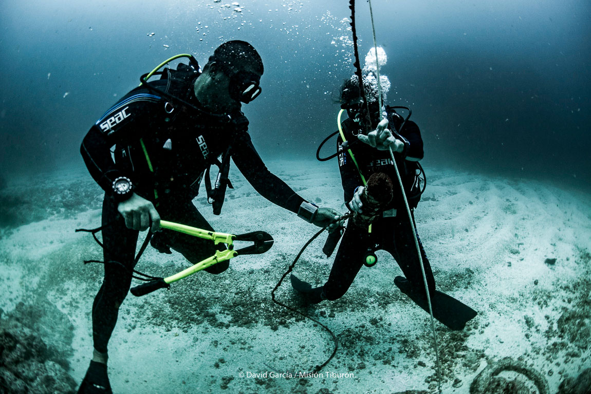 Diving with Purpose Horizontes Nature Tours
