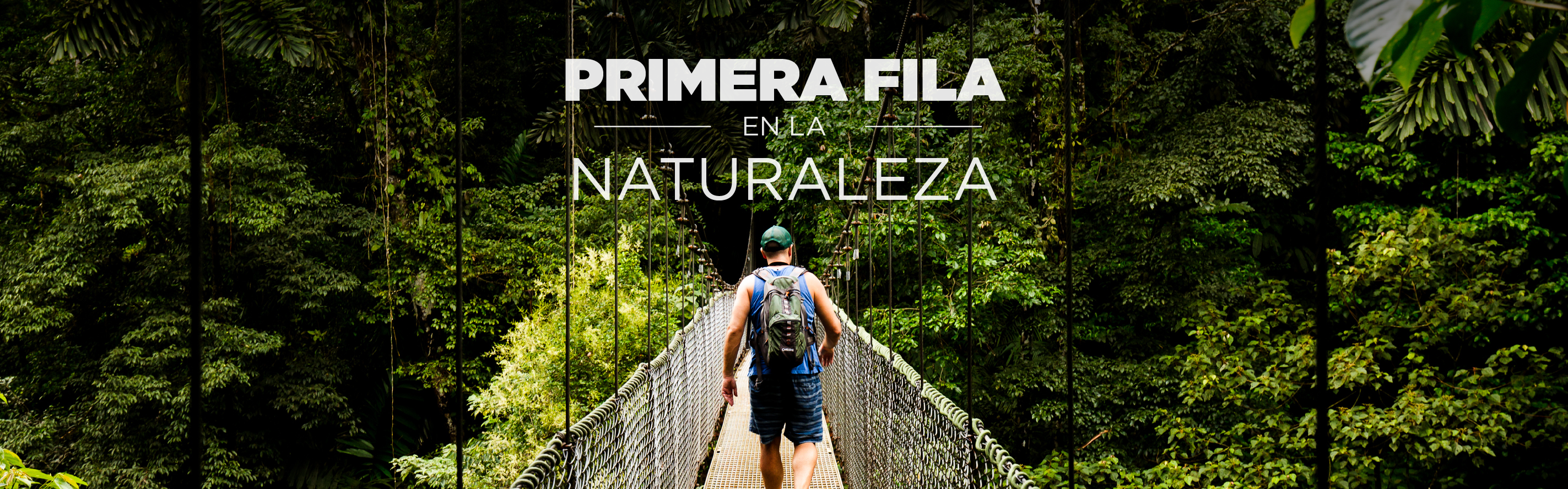 Hacia atrás Privilegio Tom Audreath Paquetes de ecoturismo en Costa Rica | Horizontes Nature Tours